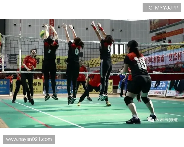 广州排球队阵地战体系解析与战术创新探讨