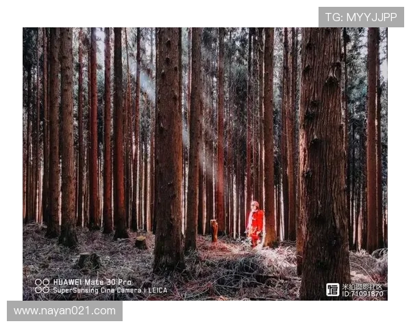 广州极限运动队心理素质排名第三的背后故事与启示