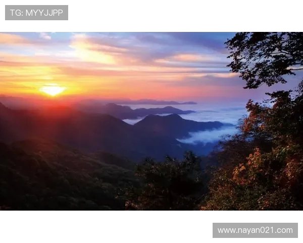 张芳的攀岩人生：在高峰与深渊之间的深度对话与心灵探索