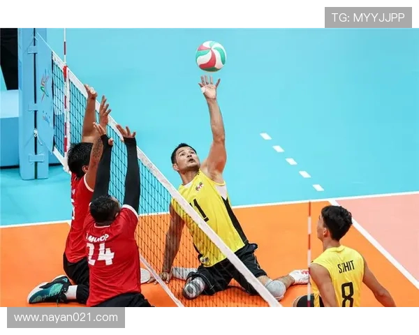 杭州排球队在全国排球节奏排行榜中荣获第六名展现出强大实力与潜力