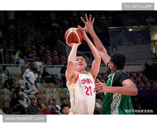 赛后分析：广州篮球队与深圳篮球队的战术配合与表现评估