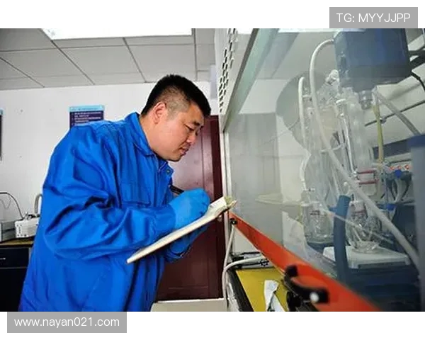 张昊的奋斗历程与成长故事探寻成功背后的坚持与努力