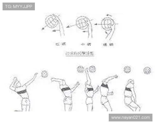 杭州排球队快攻战术解析与深度剖析排球竞技的魅力与挑战