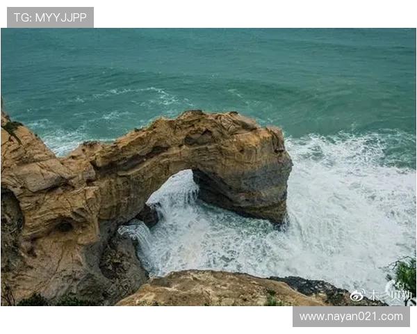 上海极限运动队的成长历程与梦想追逐之路特别报道