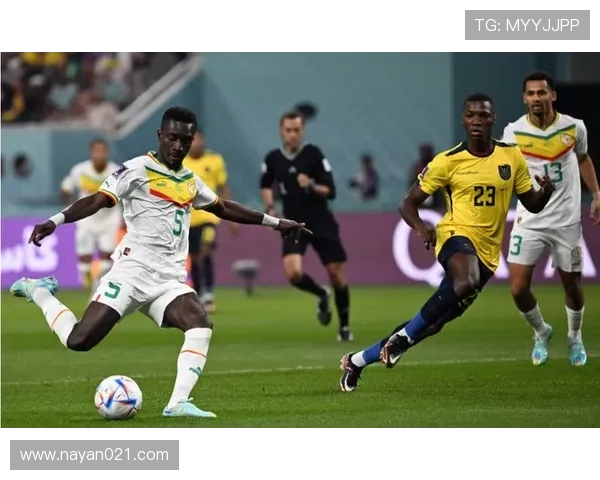 杭州排球队逆袭世界杯预选赛的传奇之路与奋斗精神